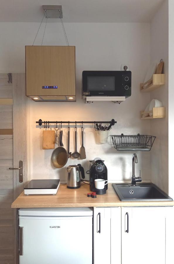 Appartement Minisowa à Jedlina-Zdroj Extérieur photo