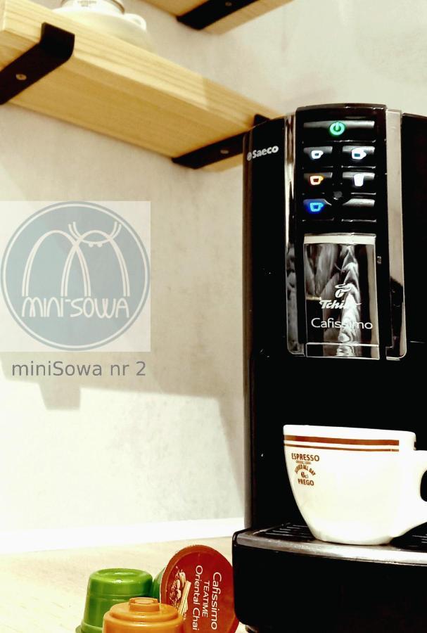 Appartement Minisowa à Jedlina-Zdroj Extérieur photo