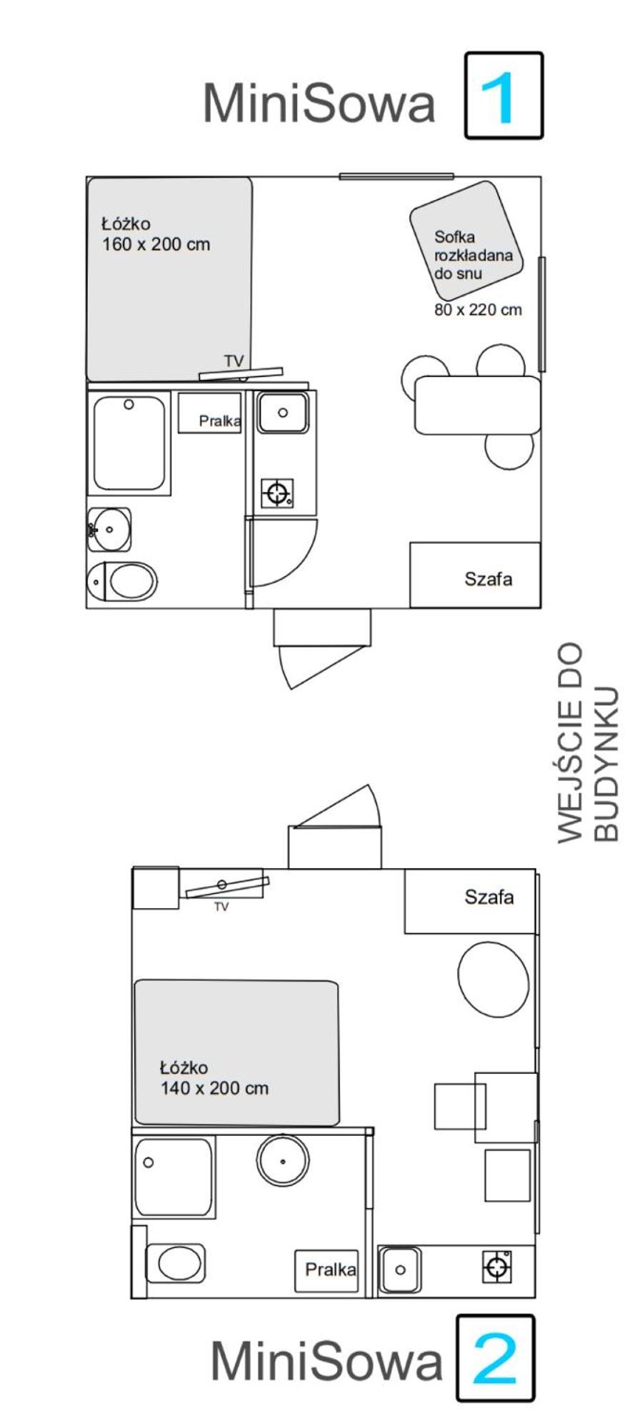 Appartement Minisowa à Jedlina-Zdroj Extérieur photo